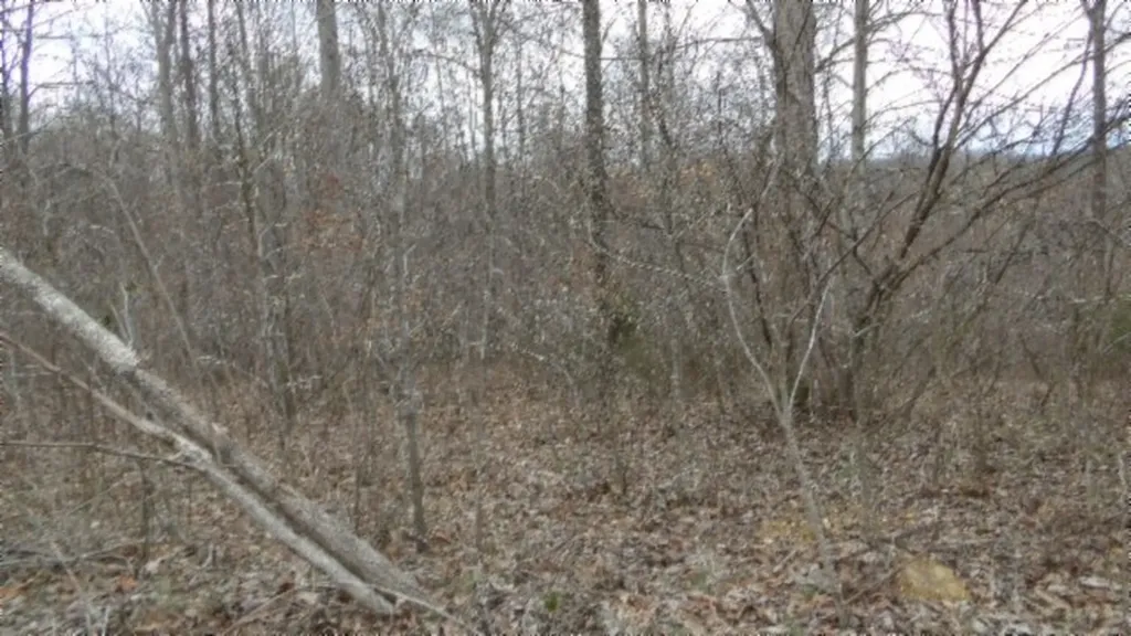5.51AC Beaver Lane Gainesboro TN 38562