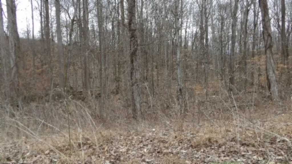 5.51AC Beaver Lane Gainesboro TN 38562