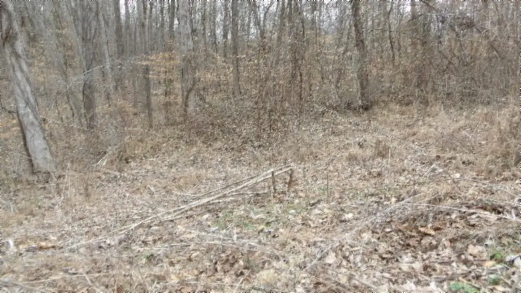 5.51AC Beaver Lane Gainesboro TN 38562