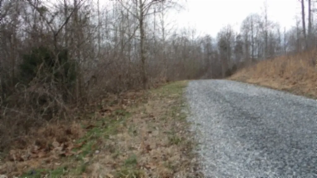 5.51AC Beaver Lane Gainesboro TN 38562