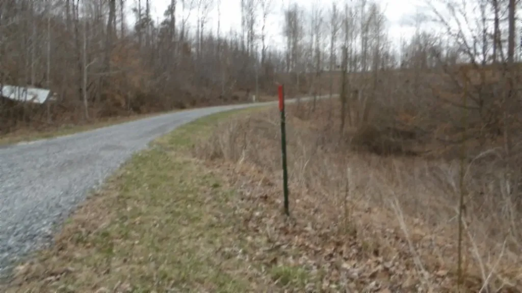 5.51AC Beaver Lane Gainesboro TN 38562