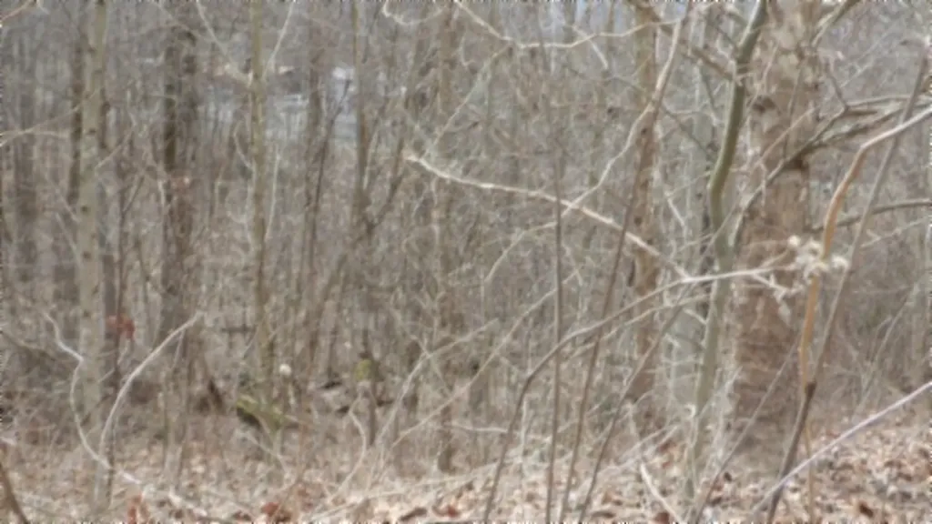 5.51AC Beaver Lane Gainesboro TN 38562