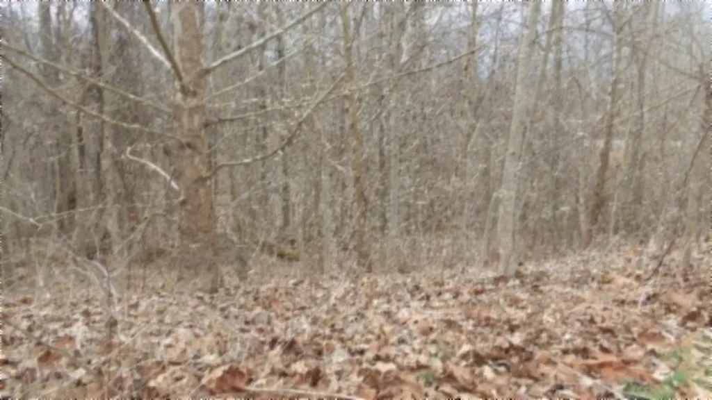 5.51AC Beaver Lane Gainesboro TN 38562