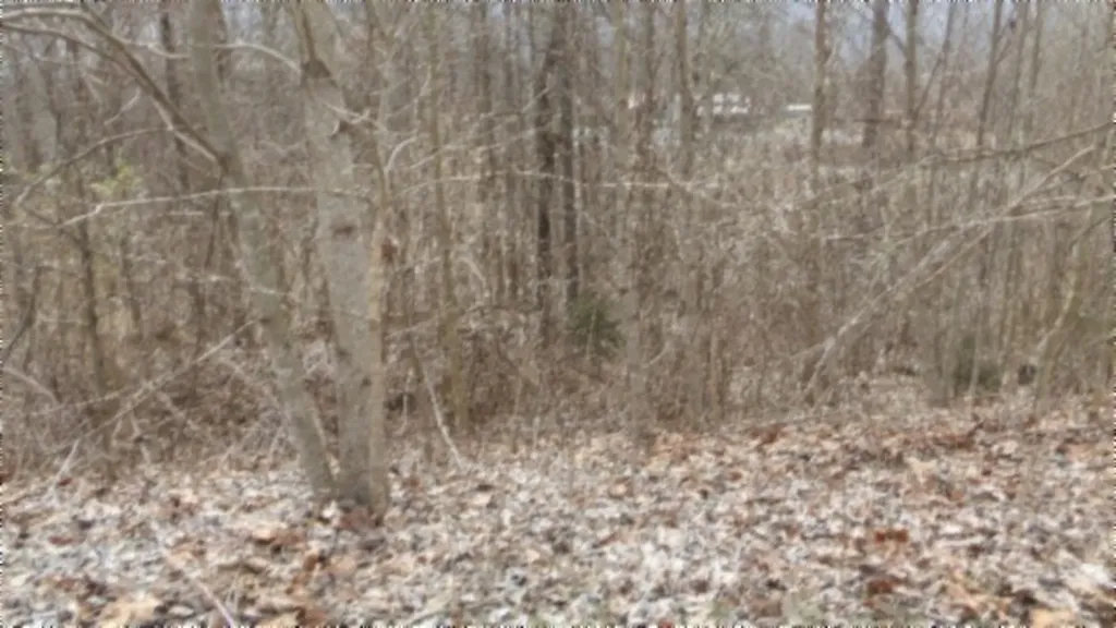 5.51AC Beaver Lane Gainesboro TN 38562