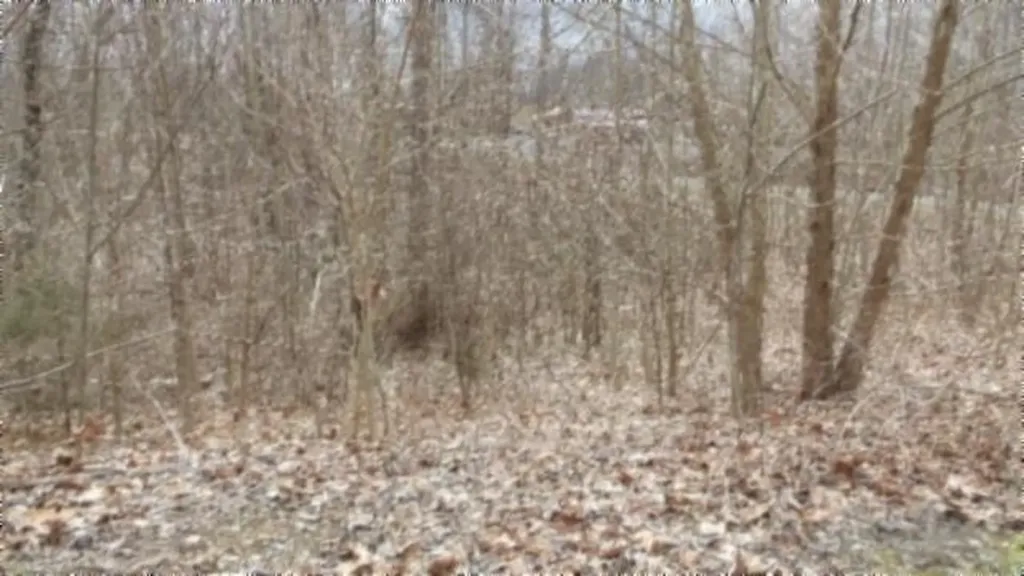 5.51AC Beaver Lane Gainesboro TN 38562