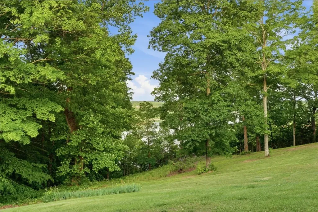 99 Hilltop Lane Byrdstown TN 38549