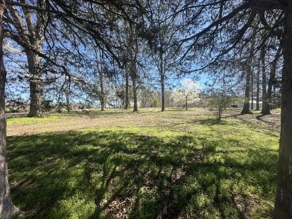 5149 Arnold Thomas Road Silver Point TN 38582
