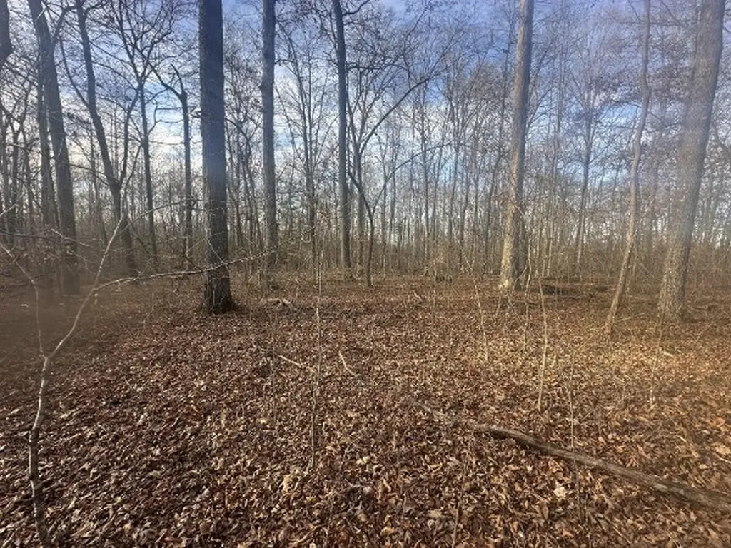 0 Arnold Thomas Road Silver Point TN 38582