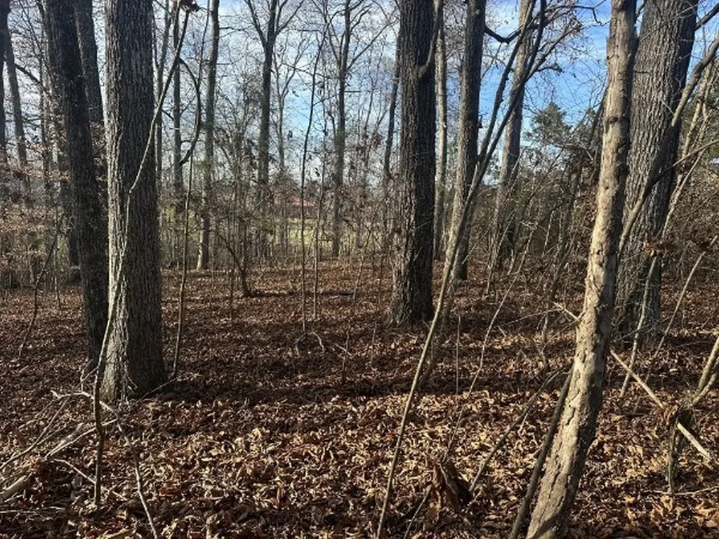 0 Arnold Thomas Road Silver Point TN 38582