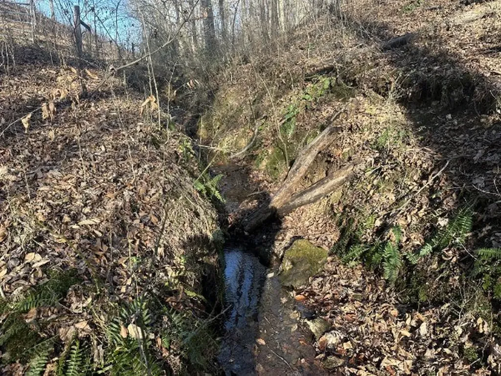 0 Arnold Thomas Road Silver Point TN 38582