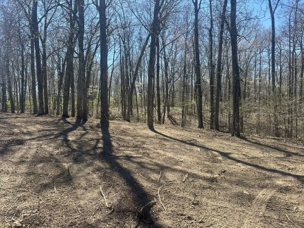0 Arnold Thomas Road Silver Point TN 38582