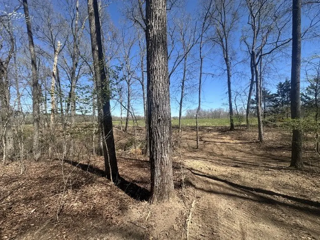 0 Arnold Thomas Road Silver Point TN 38582