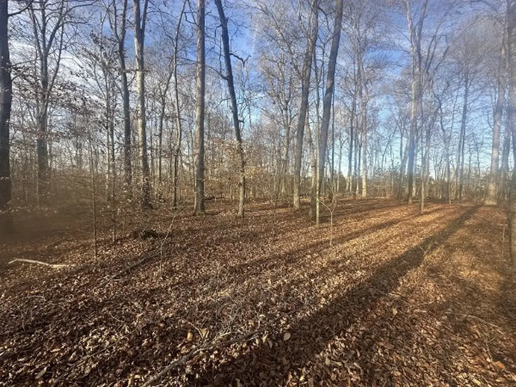 0 Arnold Thomas Road Silver Point TN 38582