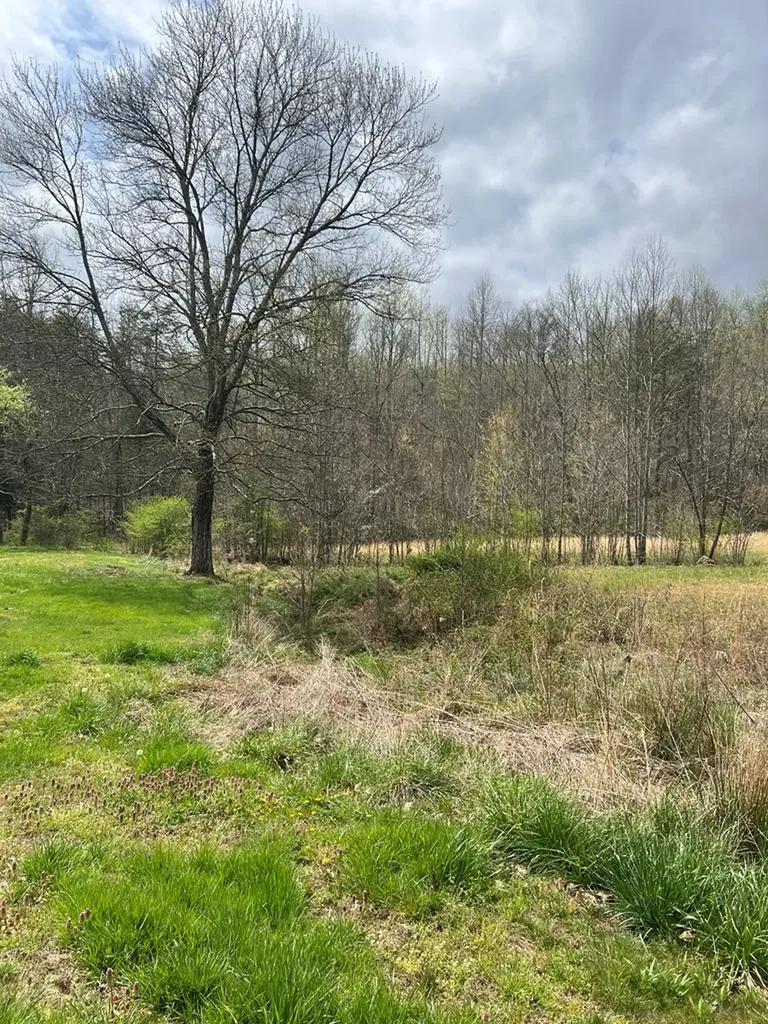 239 Miller Road Pikeville TN 38585