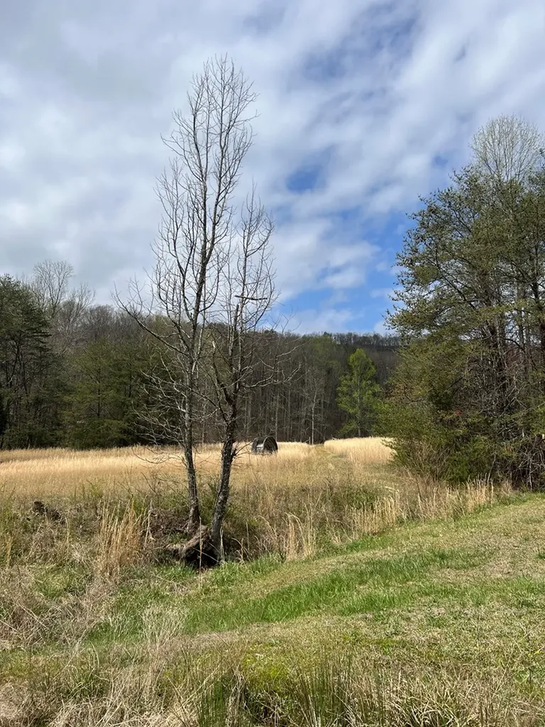 239 Miller Road Pikeville TN 38585