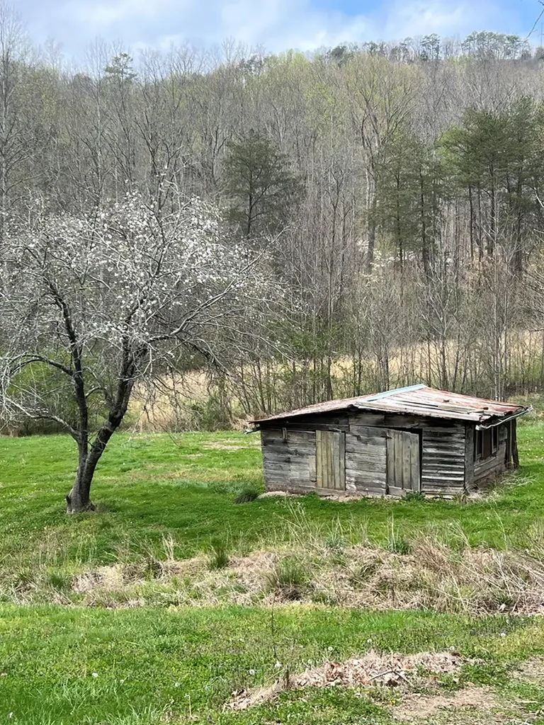 239 Miller Road Pikeville TN 38585