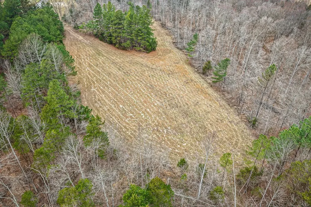 Lot 4 Johnson Chapel Road Sparta TN 38583