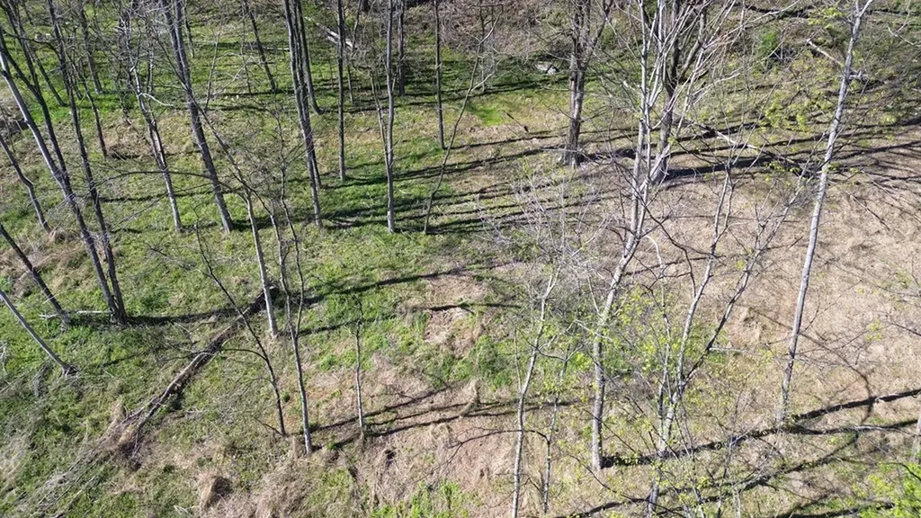 0 Blackberry Ridge Way Smithville TN 37166