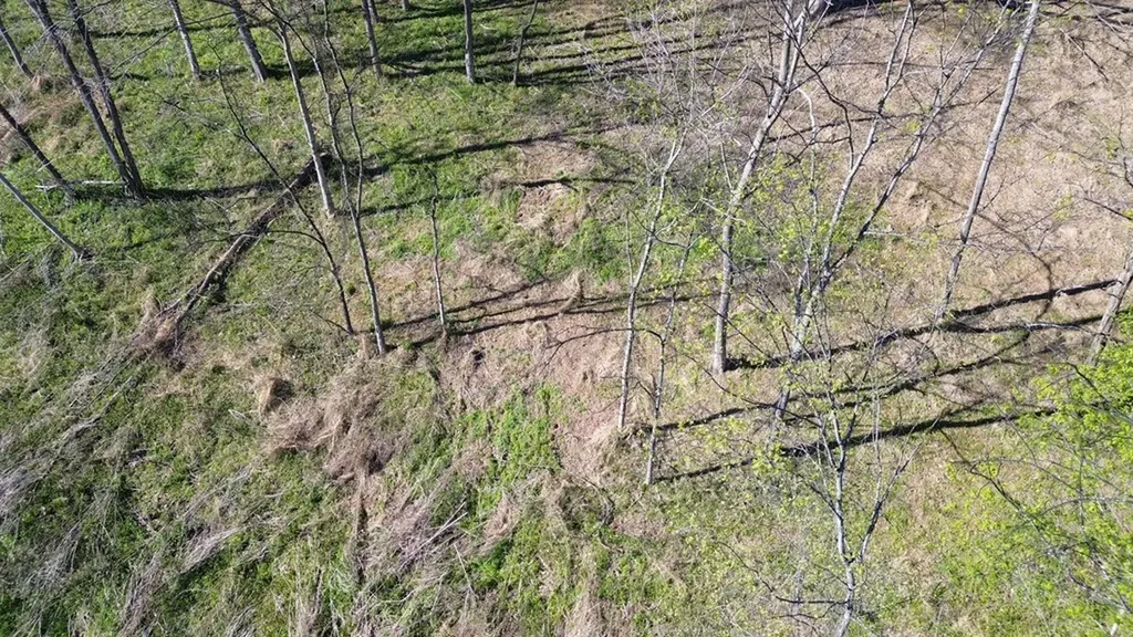 0 Blackberry Ridge Way Smithville TN 37166