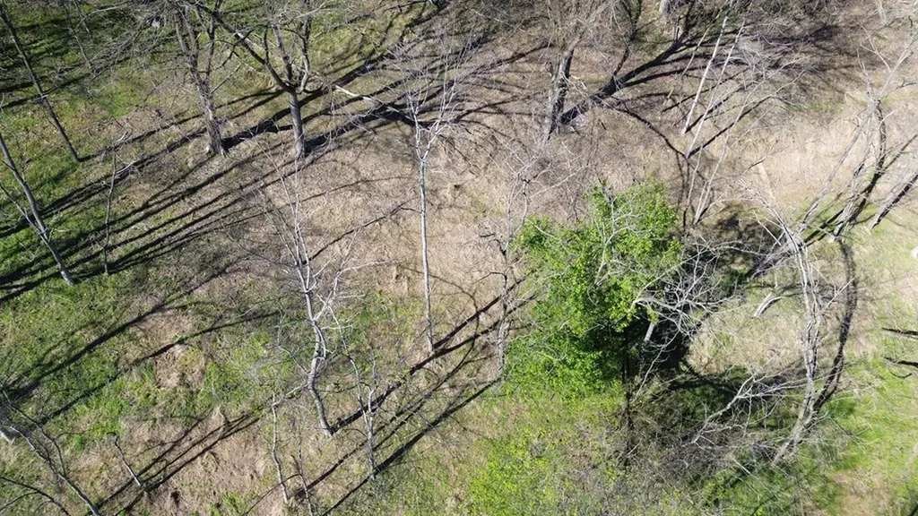 0 Blackberry Ridge Way Smithville TN 37166