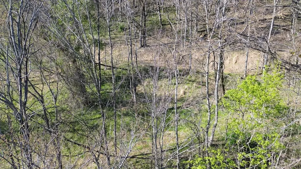 0 Blackberry Ridge Way Smithville TN 37166