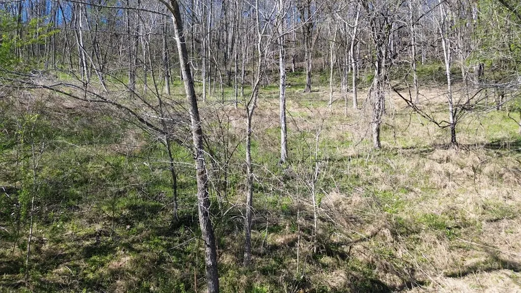 0 Blackberry Ridge Way Smithville TN 37166