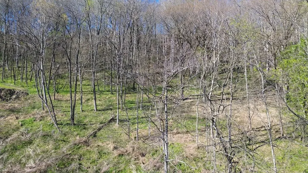 0 Blackberry Ridge Way Smithville TN 37166