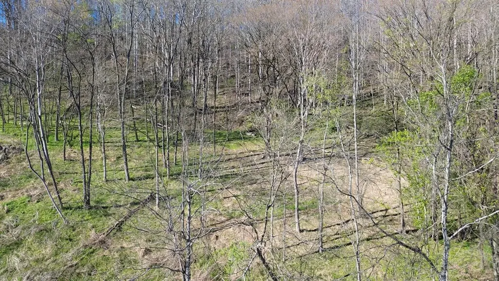 0 Blackberry Ridge Way Smithville TN 37166