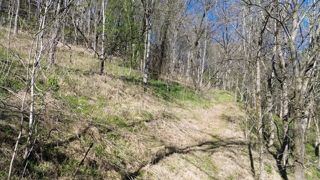 0 Blackberry Ridge Way Smithville TN 37166