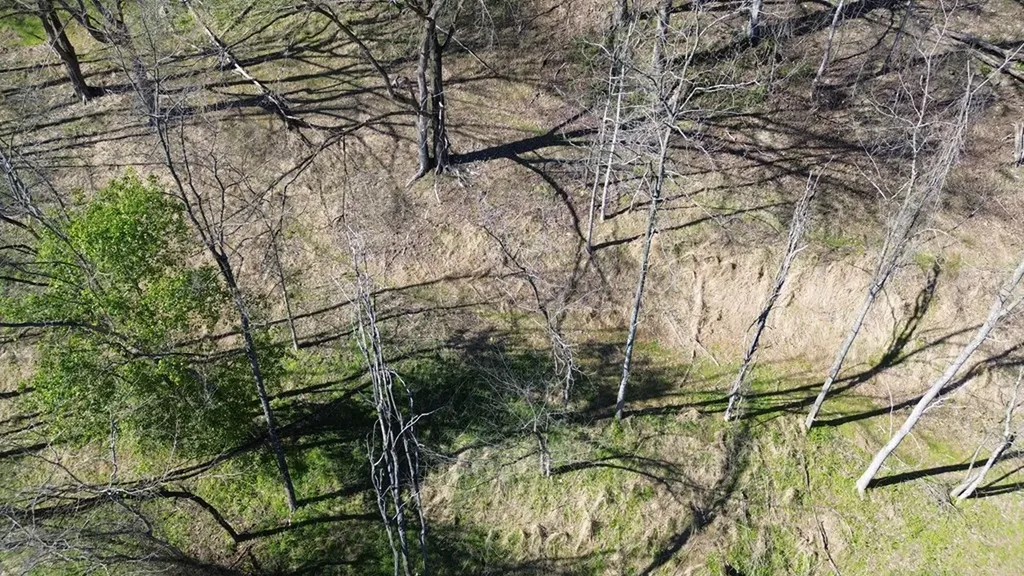 0 Blackberry Ridge Way Smithville TN 37166