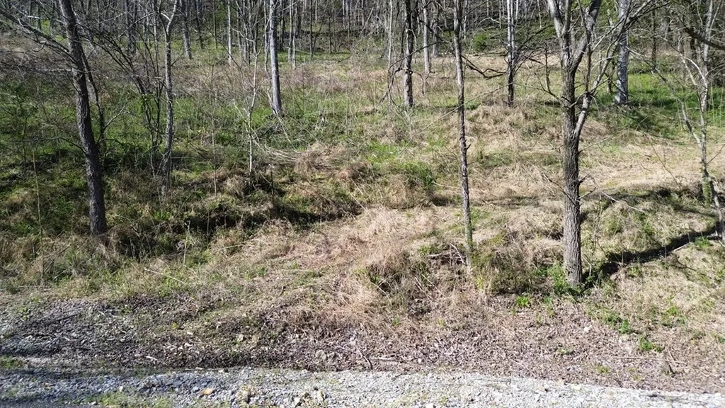 0 Blackberry Ridge Way Smithville TN 37166