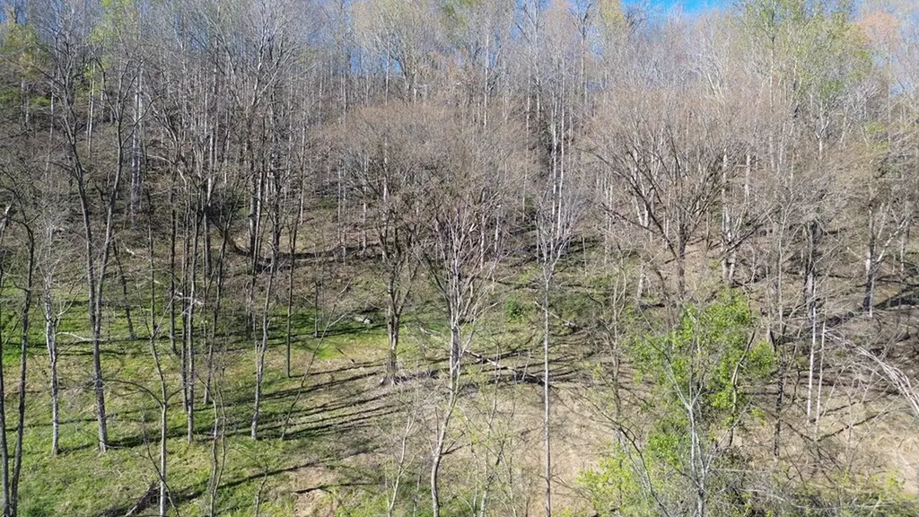 0 Blackberry Ridge Way Smithville TN 37166