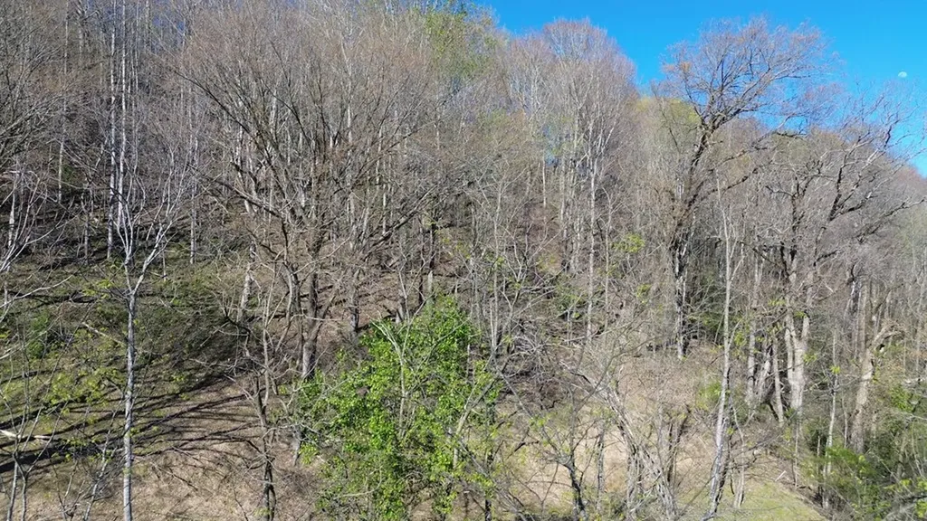 0 Blackberry Ridge Way Smithville TN 37166