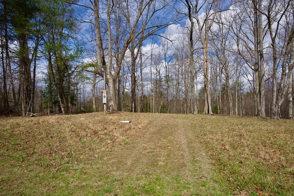 4.71AC Daus Mountain Road Palmer TN 37365