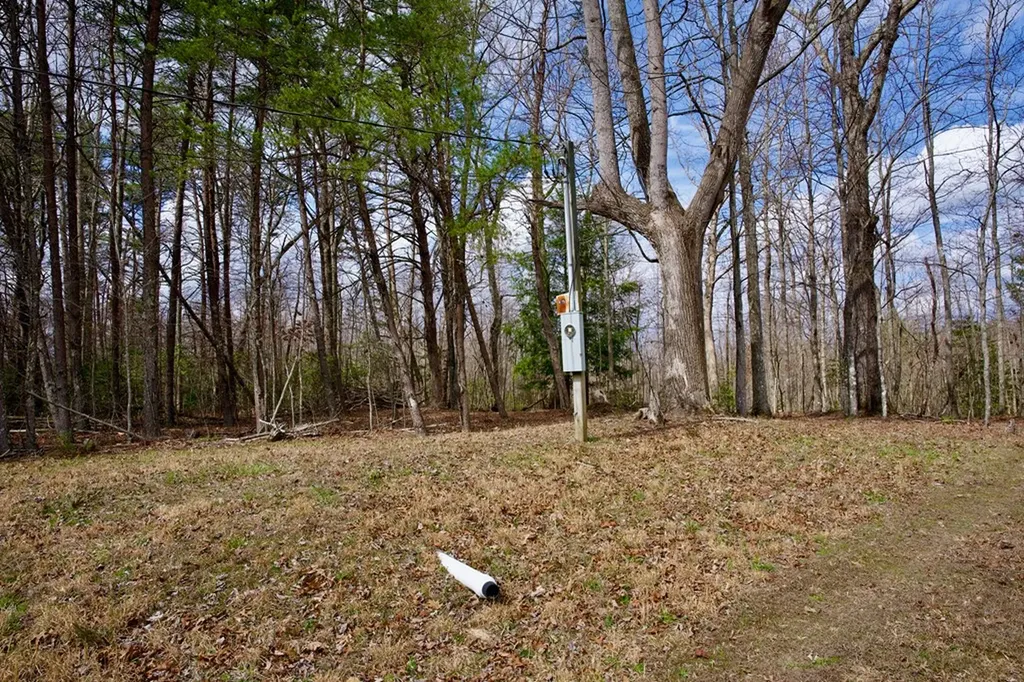 4.71AC Daus Mountain Road Palmer TN 37365