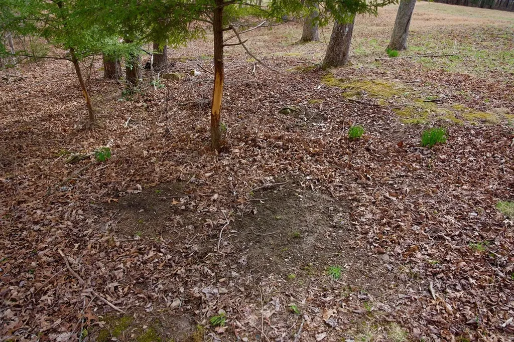 4.71AC Daus Mountain Road Palmer TN 37365