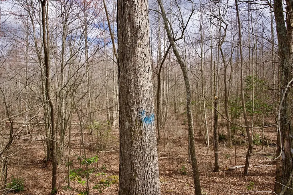 4.71AC Daus Mountain Road Palmer TN 37365