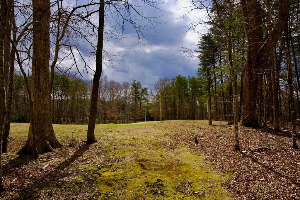 4.71AC Daus Mountain Road Palmer TN 37365