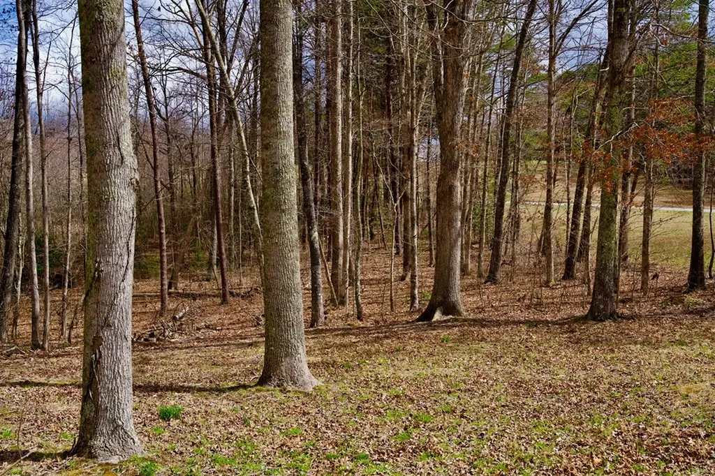 4.71AC Daus Mountain Road Palmer TN 37365