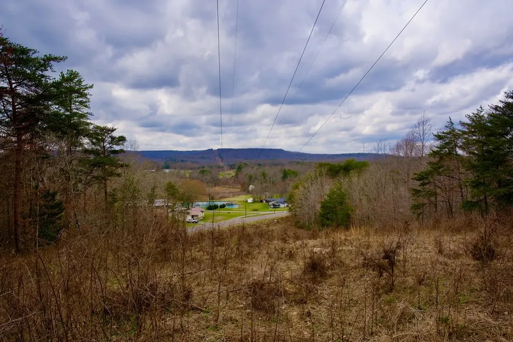 4.71AC Daus Mountain Road Palmer TN 37365