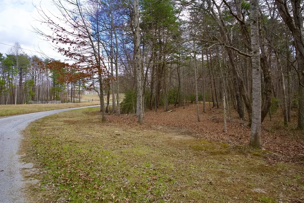 4.71AC Daus Mountain Road Palmer TN 37365