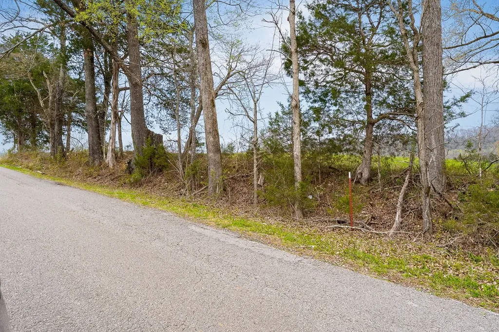 00 Webbs Camp Road Walling TN 38587
