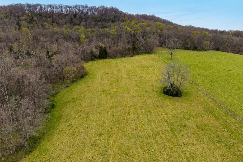 00 Webbs Camp Road Walling TN 38587
