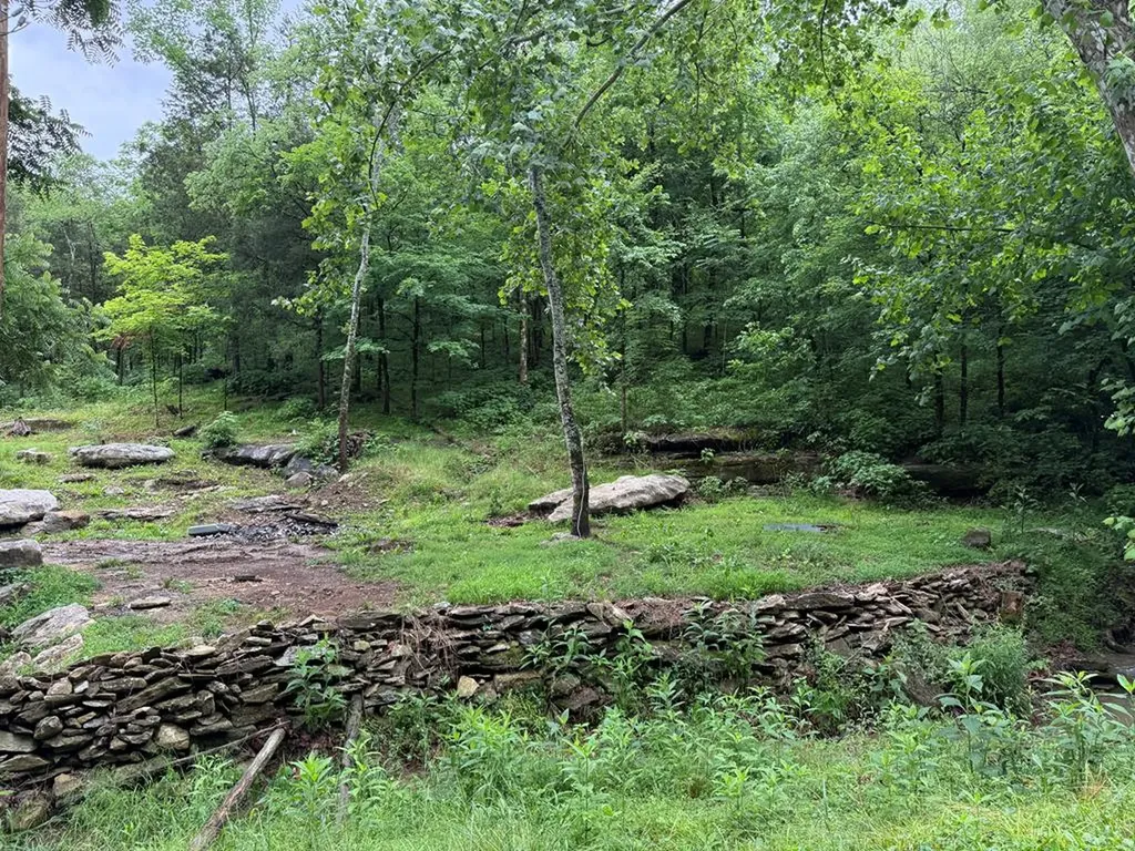 940 Riley Creek Road Whitleyville TN 38588