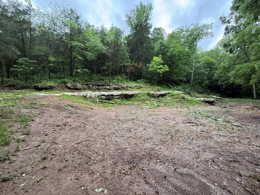 940 Riley Creek Road Whitleyville TN 38588
