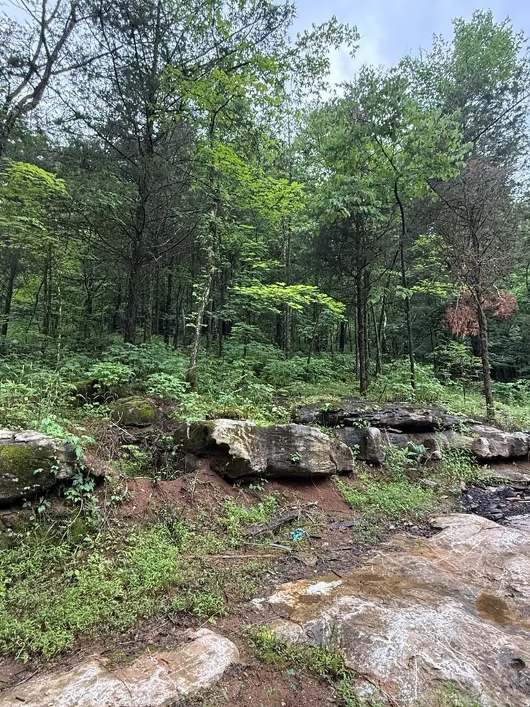 940 Riley Creek Road Whitleyville TN 38588