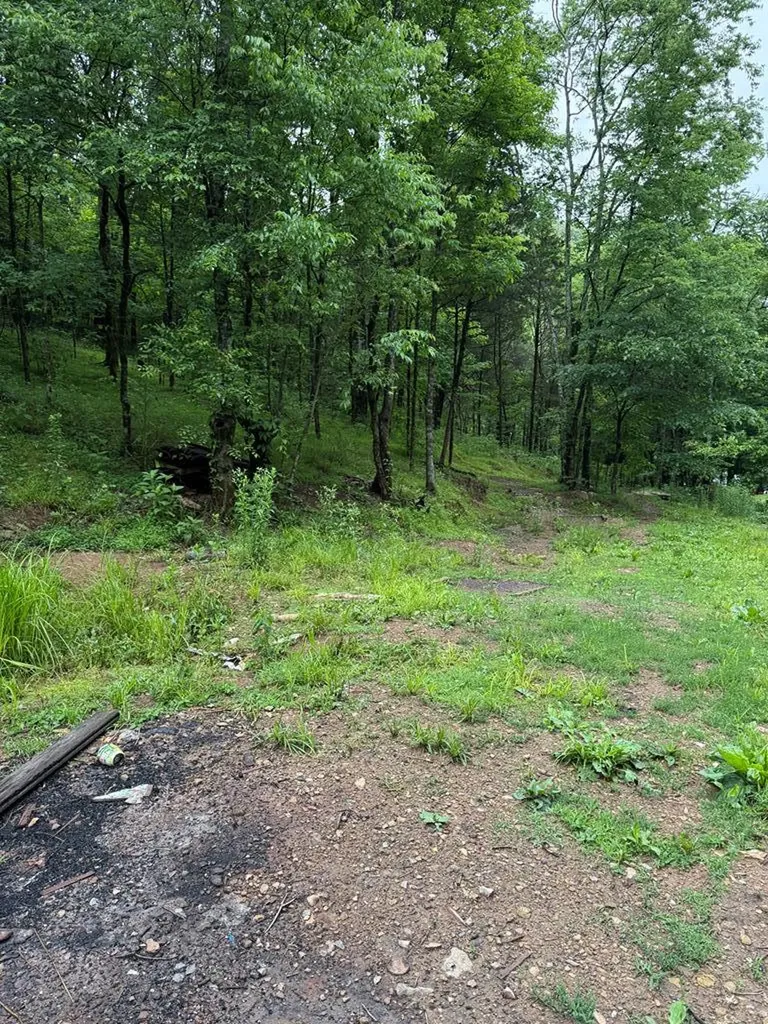940 Riley Creek Road Whitleyville TN 38588