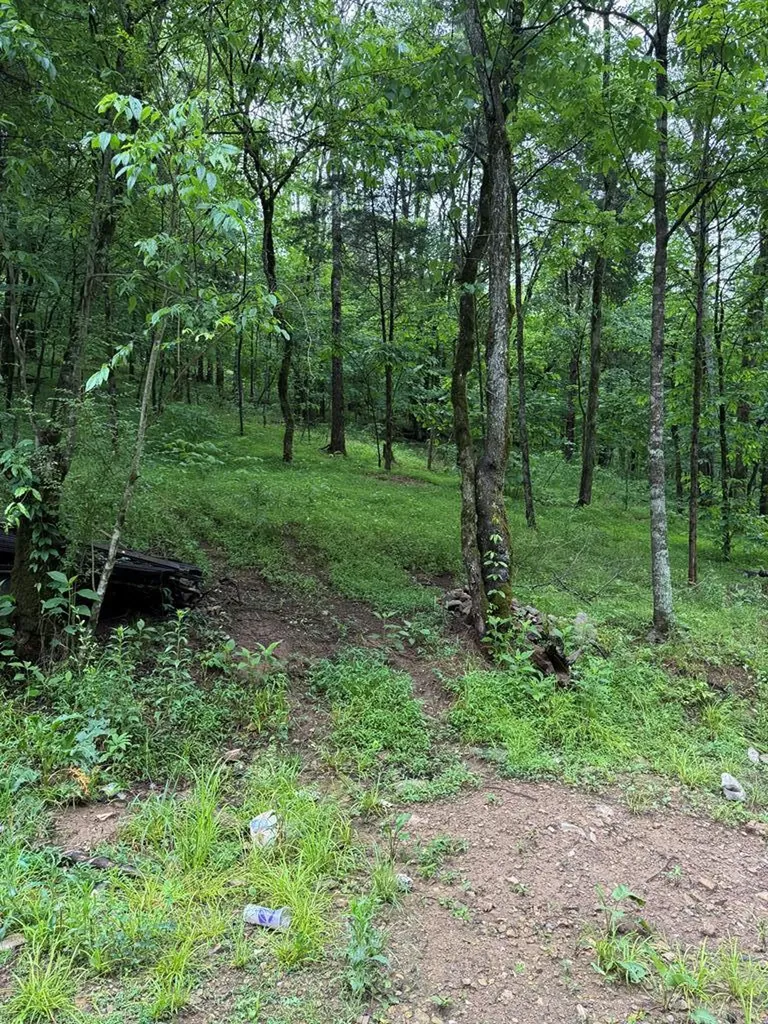 940 Riley Creek Road Whitleyville TN 38588