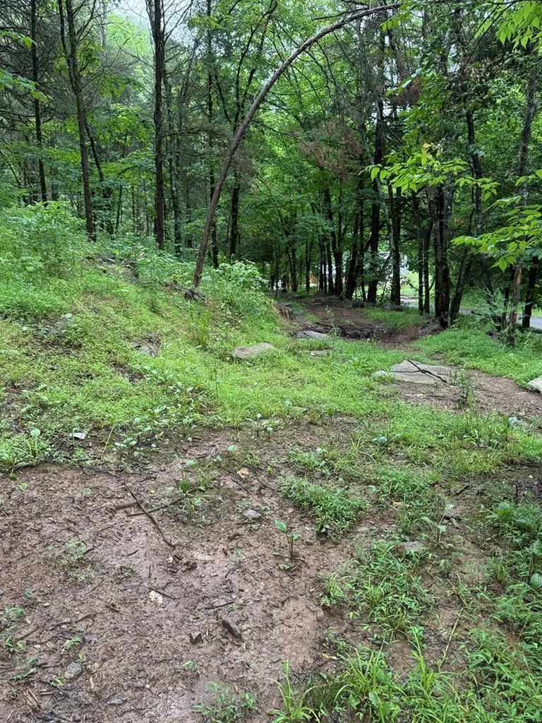 940 Riley Creek Road Whitleyville TN 38588