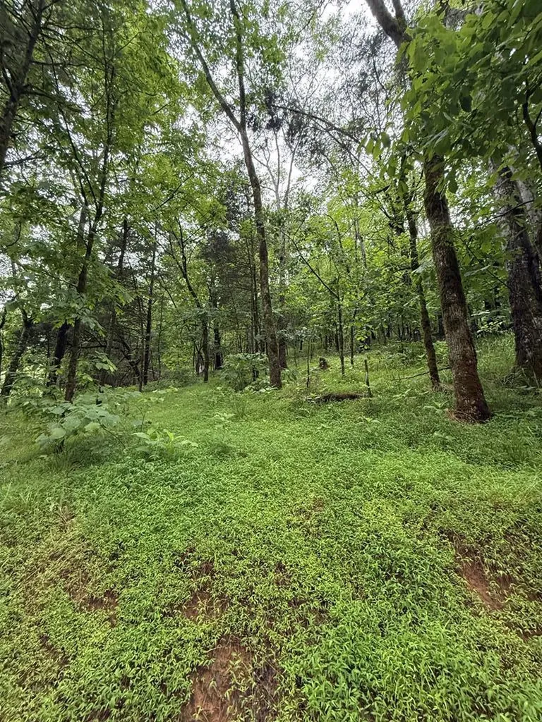 940 Riley Creek Road Whitleyville TN 38588